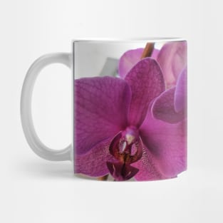 Indoor Jungle - Orchid Mug
